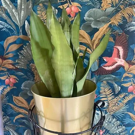 A Casa Di Gin Milaan